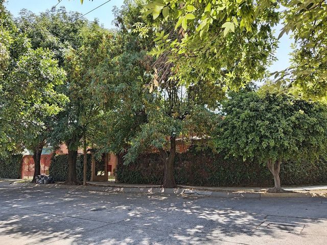 place photo 46