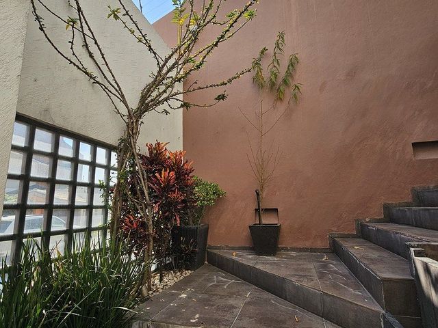 place photo 42