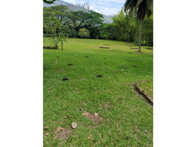 place photo 57