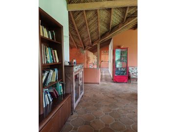 place photo 59