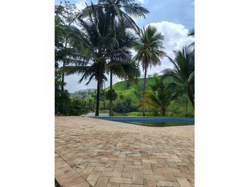 place photo 69
