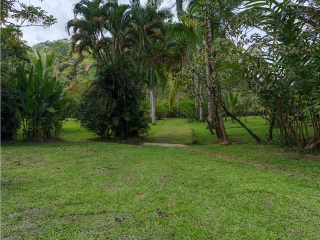 place photo 51