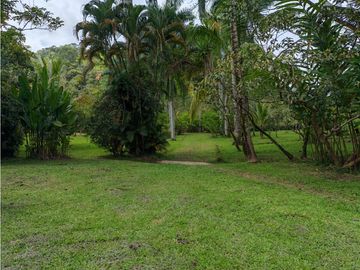 place photo 51