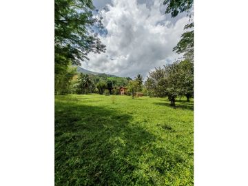 place photo 68