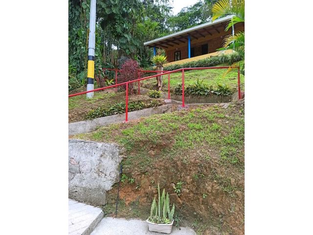place photo 42