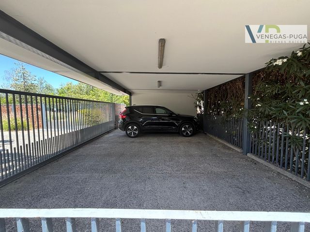 place photo 30