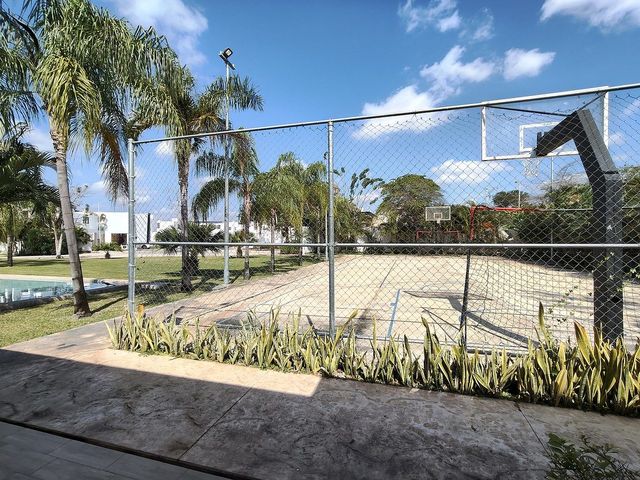 place photo 26