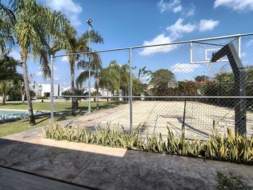 place photo 26