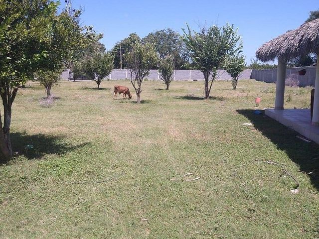 place photo 7