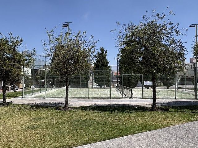 place photo 42