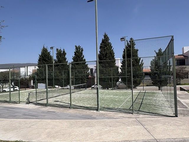 place photo 44