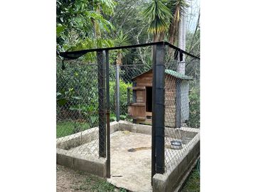 place photo 31