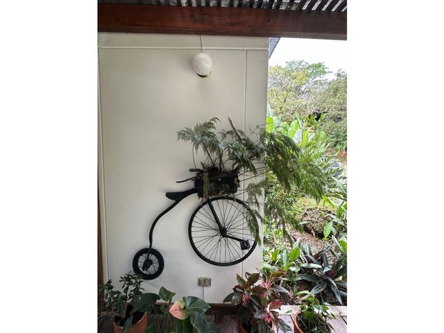 place photo 52