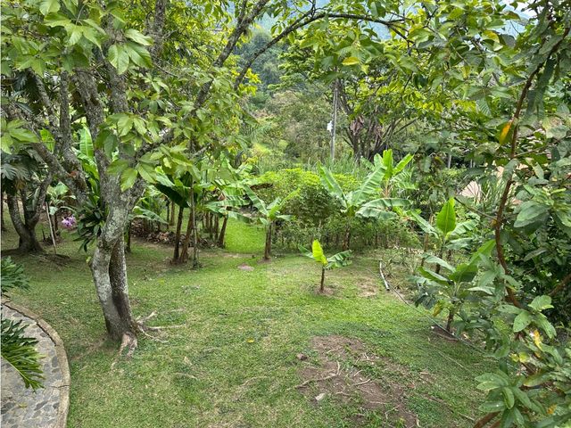 place photo 46