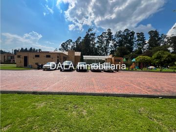 place photo 48