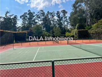 place photo 46