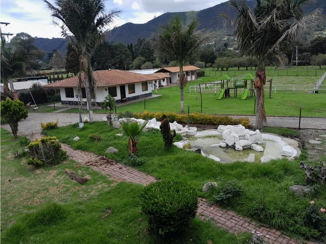 place photo 71