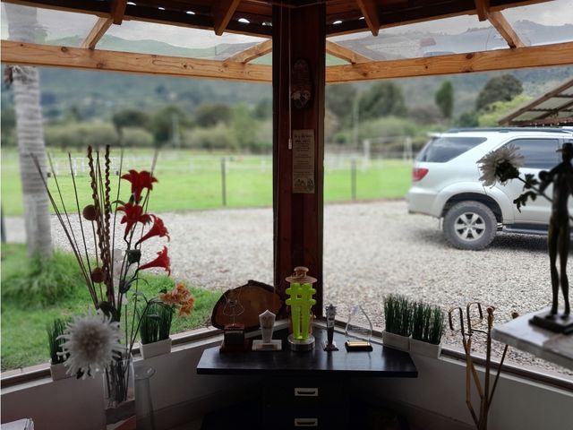 place photo 36