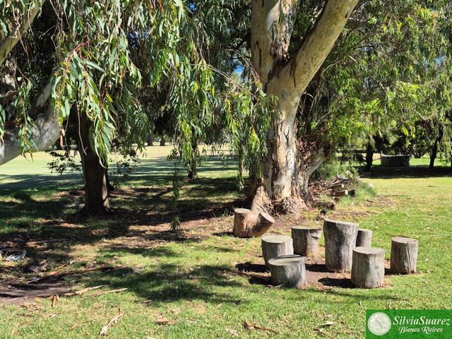 place photo 35