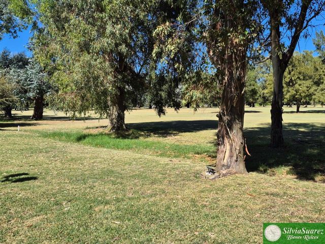 place photo 33