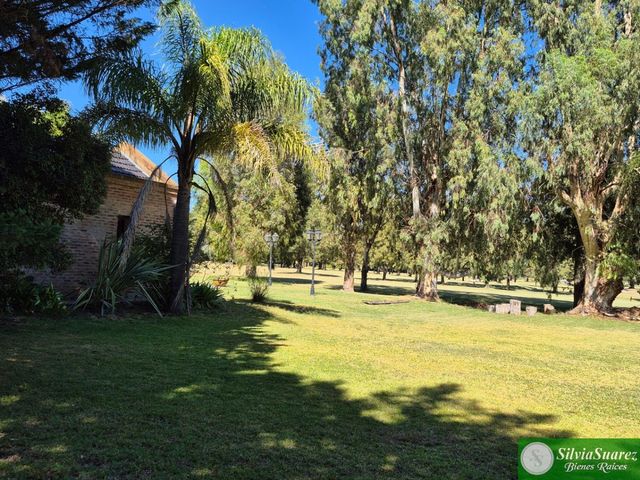 place photo 38