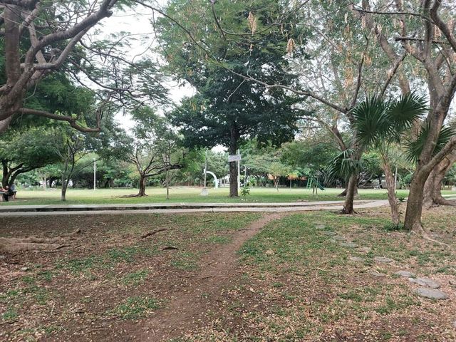 place photo 19