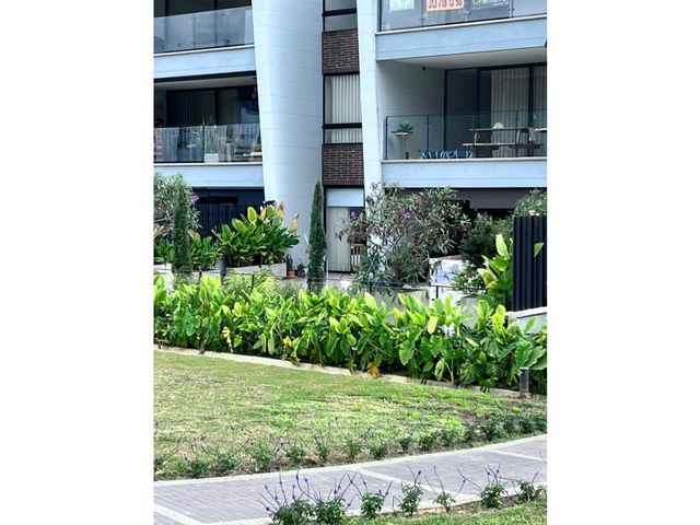 place photo 40