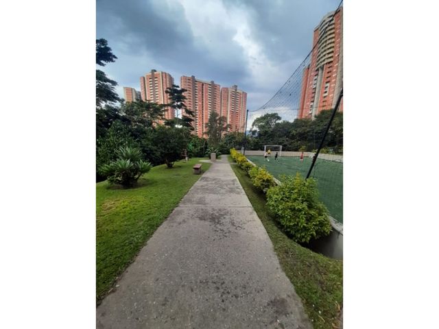 place photo 23