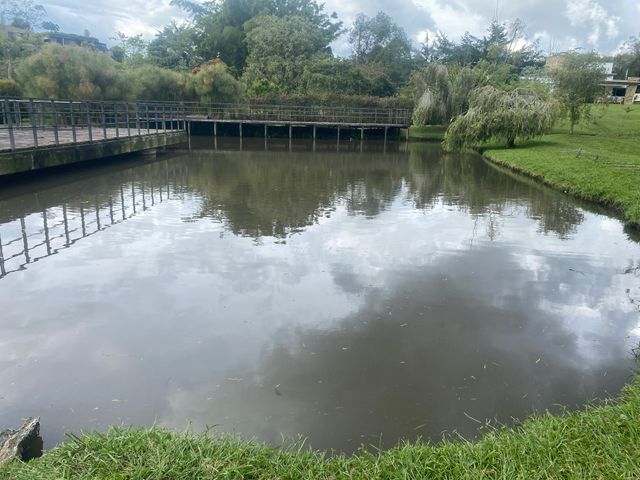 place photo 28