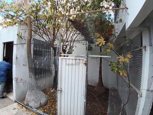 place photo 39