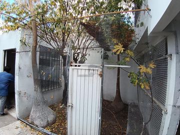 place photo 39
