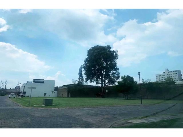 place photo 12