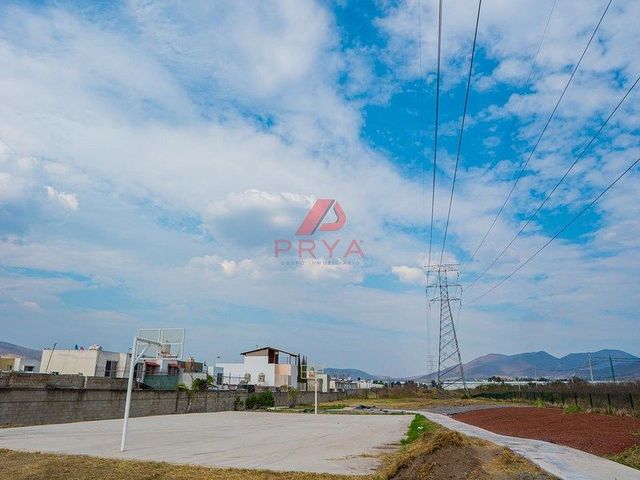 place photo 18