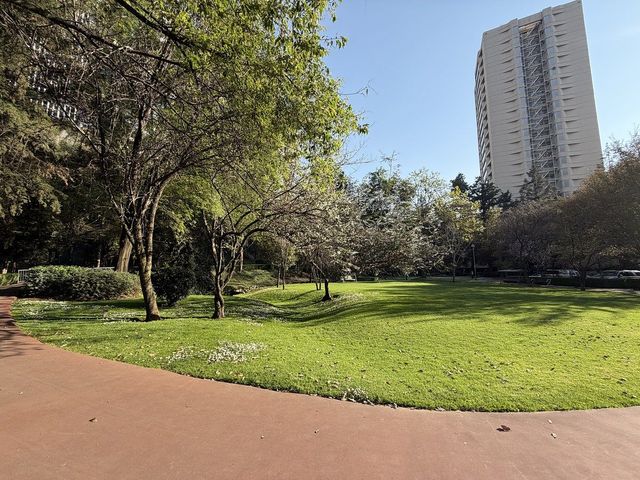 place photo 23