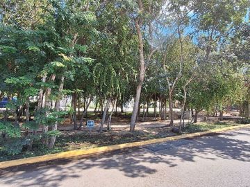 place photo 33