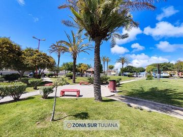 place photo 16