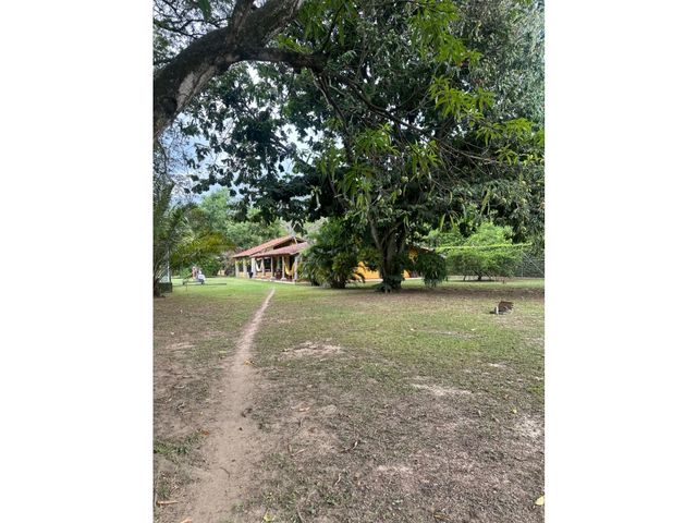 place photo 36