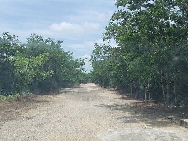 place photo 8