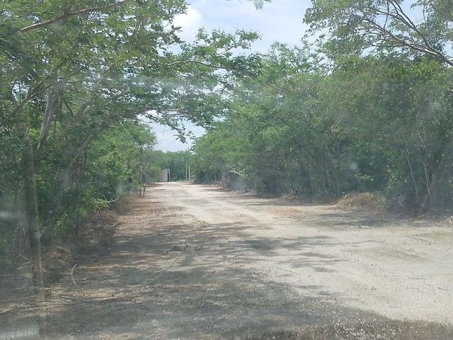 place photo 6