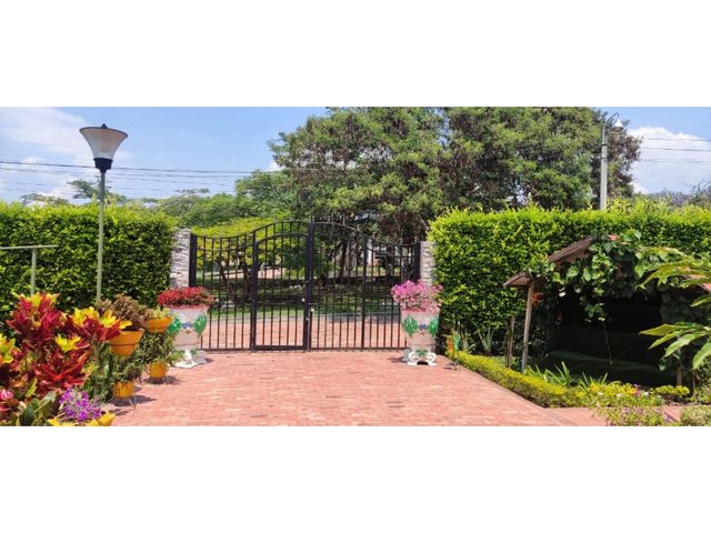 place photo 44