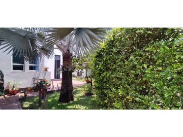 place photo 39