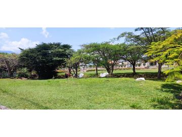 place photo 43