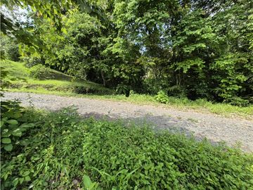 place photo 52