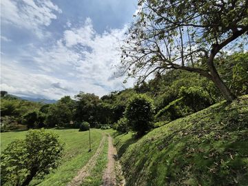 place photo 59