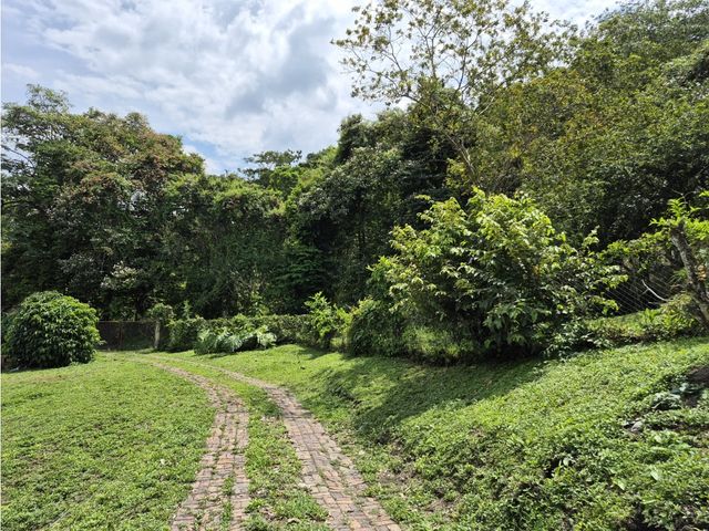place photo 57