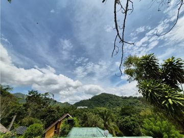 place photo 44