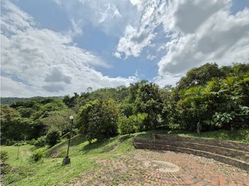 place photo 48