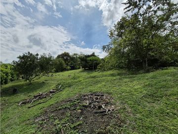 place photo 51