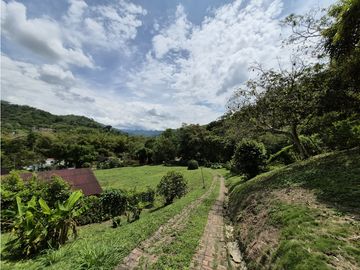 place photo 61