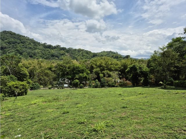 place photo 54